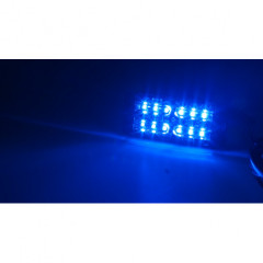 LINEAR LED dual 12x5W LED, 12-24V, modrý, ECE R65