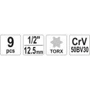 Sada nástavců 1/2" TORX 9 ks E10-E24