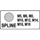 Sada nástrčných klíčů 1/2" Spline, 8ks