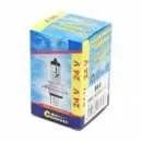 Žárovka 24V H4 75/70W P43t box